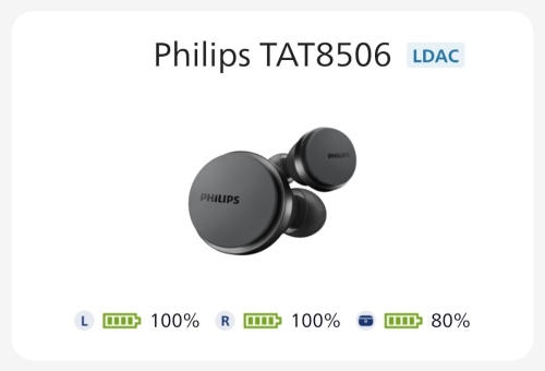 Фото Навушники TWS Philips TAT8506BK/00 Black від користувача Sappy_Capy